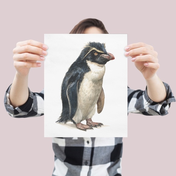 Watercolor Erect-Crested Penguin Wall Art Print Unframed - Antarctic Charm - Picture 4 of 7
